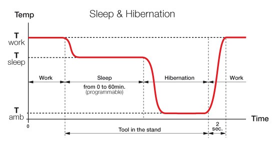 Sleep and Hibernation